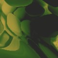 Shader 257